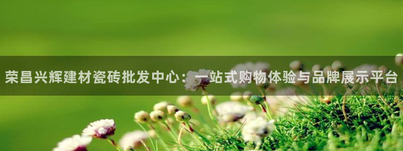 杏鑫有亏损返点吗