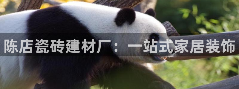 杏鑫平台念7O777