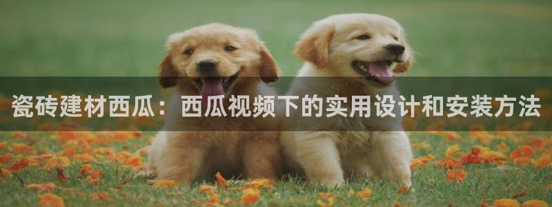 杏鑫娱乐官网