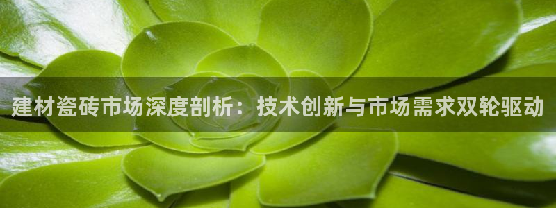 杏鑫平台怎么样黑钱吗是真的吗知乎
