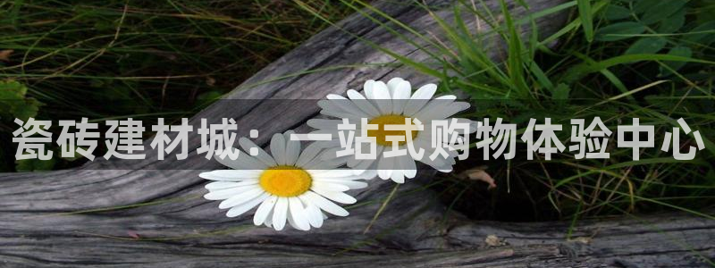 杏鑫官网最新信息