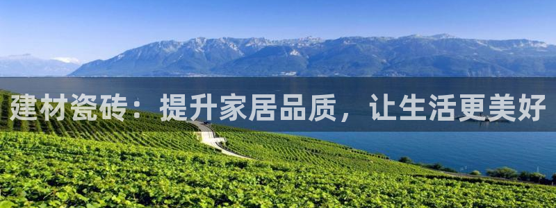 杏鑫平台广7O777