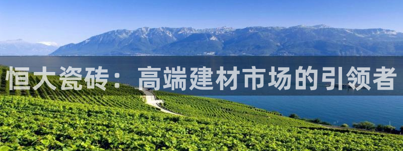 杏鑫平台代理怎么样