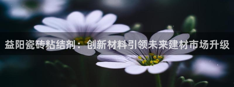 杏鑫平台注册网址查询