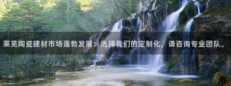 杏鑫平台平台