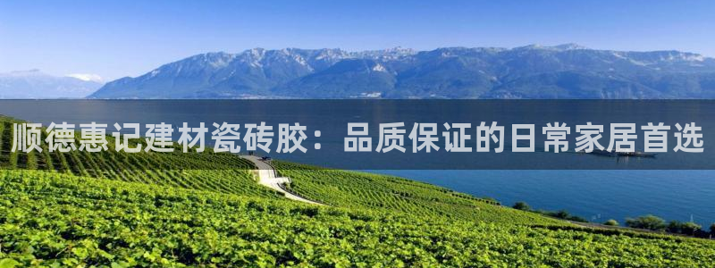 杏鑫平台招商电话