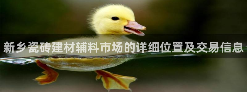 杏鑫平台代理怎么样啊