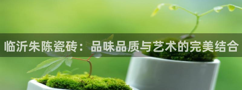 杏鑫平台注册地址