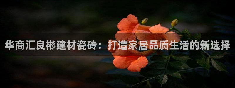 杏鑫平台怎么样知乎