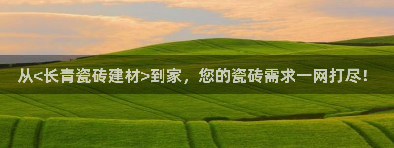 杏鑫主管