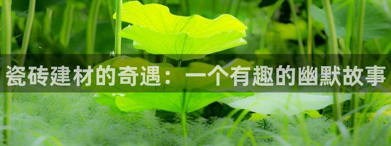 杏鑫招商总代