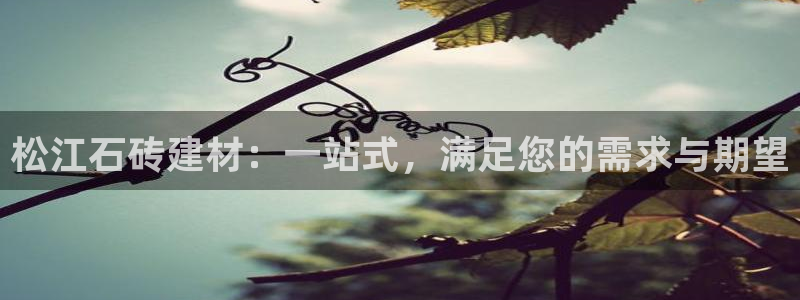 杏鑫平台登录地址查询