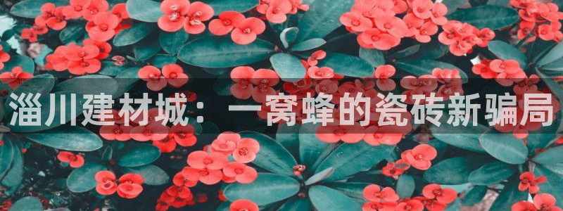 杏鑫娱乐官网登录不了