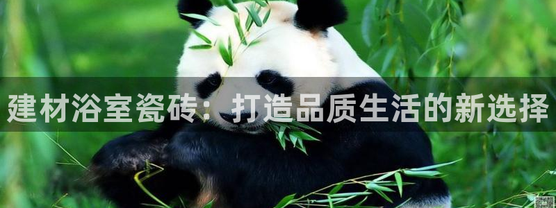 杏鑫平台代理怎么样赚钱