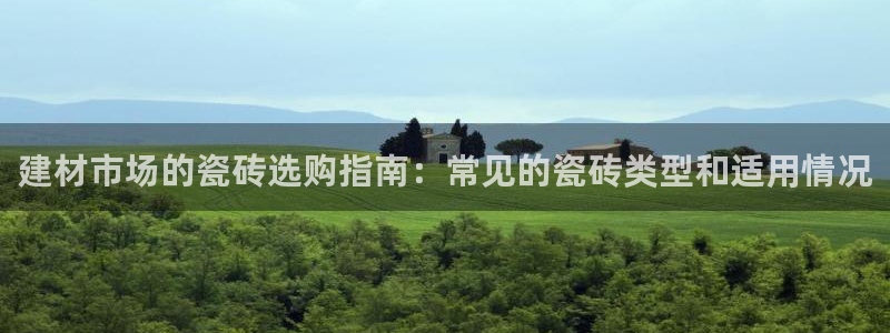 杏鑫平台招商电话