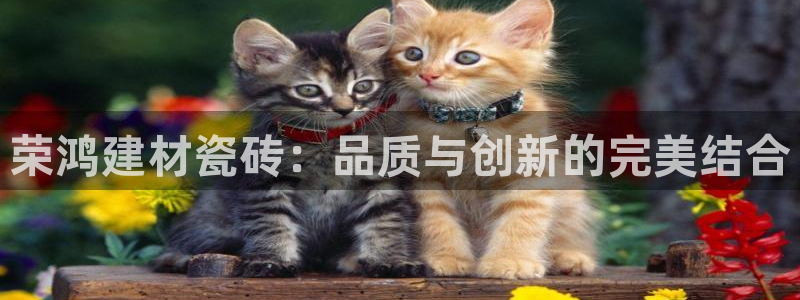 杏鑫平台注册地址