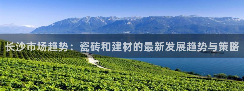 杏鑫平台代理怎么做的