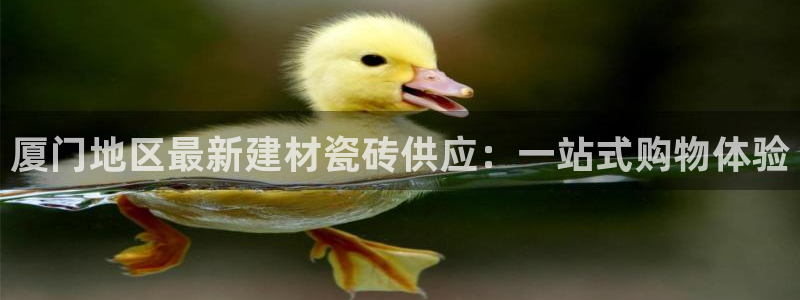 杏鑫平台怎么样