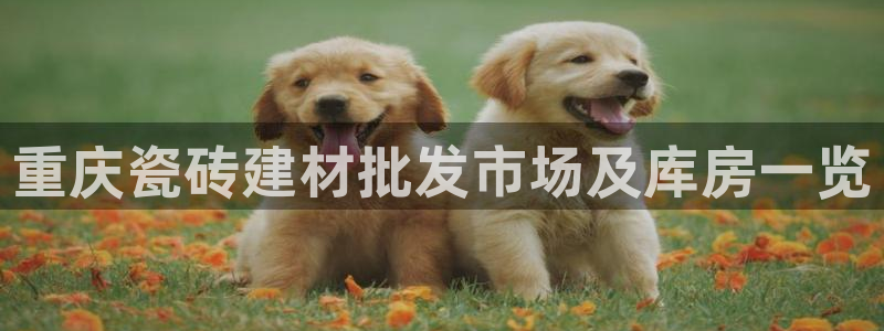 杏鑫注册登录平台