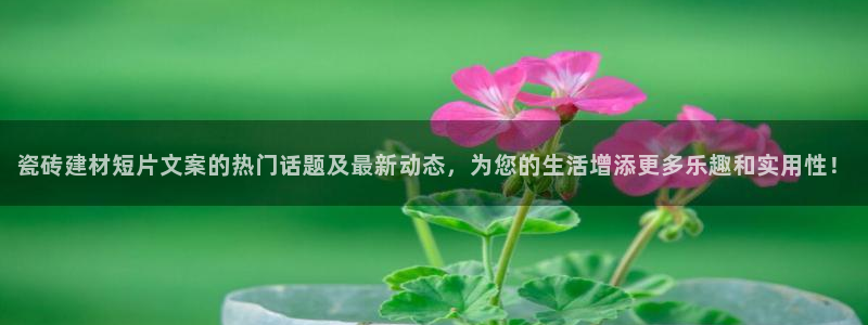 杏鑫注册登录地址