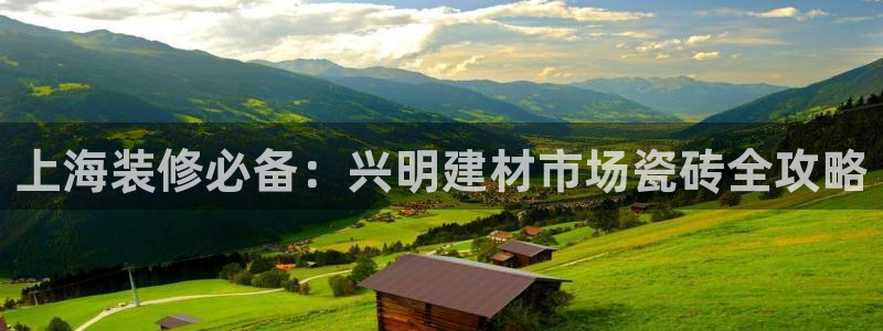 杏鑫平台代理注册流程视频