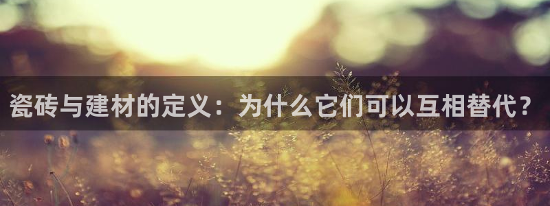 杏鑫代理注册资金多少