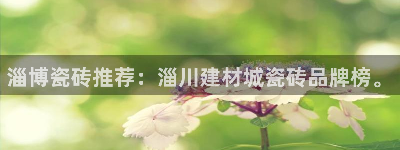 杏鑫娱乐怎么下