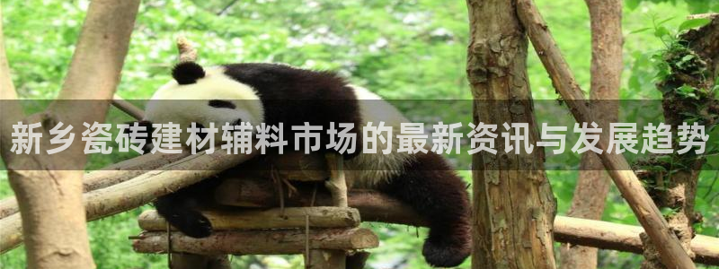 杏鑫平台代理怎么样